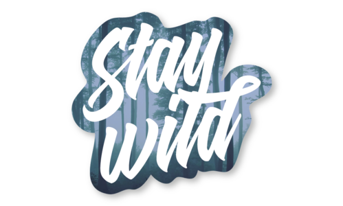 Стикер с лаком №11 Stay Wild