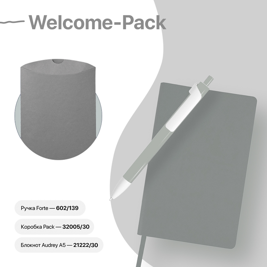 Набор подарочный WELCOME-PACK: бизнес-блокнот, ручка, коробка, серый