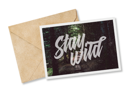 Открытка №11 Stay Wild