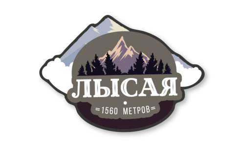 Стикер матовый №100 Лысая